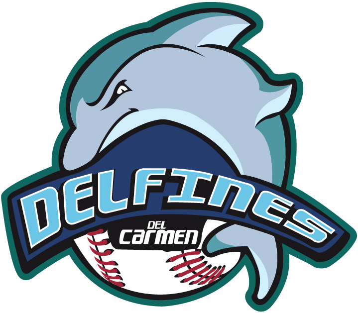 Carmen Delfines primary logo 2012-pres iron on transfers for clothing